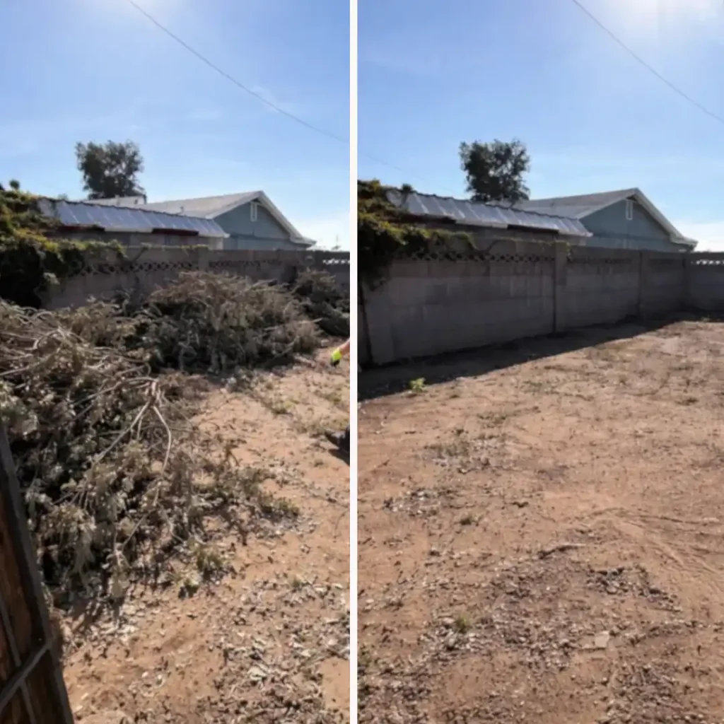 spotless solutions property cleanup